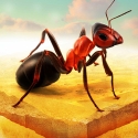 Little Ant Colony - Idle Game Android Mobile Phone Game