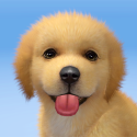 Adopt Puppies Android Mobile Phone Game
