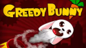 Greedy Bunny Nokia X6 (2009) Game