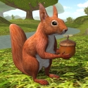 Squirrel Simulator 2 : Online QMobile Noir A6 Game