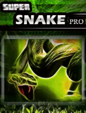 Super Snake: Pro Java Mobile Phone Game