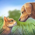 Pet World - My Animal Shelter - Take Care Of Them Android Mobile Phone Game
