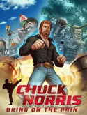 Chuck Norris: Bring On The Pain Nokia 114 Game