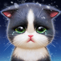 Kitten Match Motorola Droid Maxx 2 Game