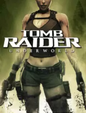 Tomb Raider: Underworld Sony Ericsson W890 Game