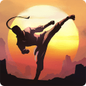 Shadow Fight: Shades Micromax Vdeo 3 Game