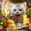 Cat Simulator 2 Google Pixel 2 XL Game