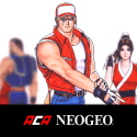 REAL BOUT FATAL FURY SPECIAL Honor 20 Game