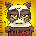 Cat Crime: Naughty Busted! Panasonic Eluga Arc Game