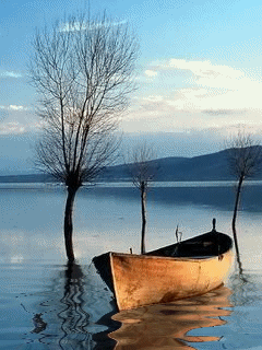 Boat In Lake