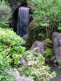 Waterfall QMobile XL8 Screensaver