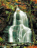 Waterfall QMobile XL8 Screensaver