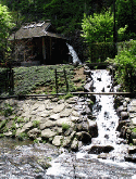 Waterfall QMobile E900 Selfie Screensaver