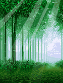 Forest Karbonn K9 Jumbo Screensaver