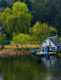 Lake Samsung D900i Screensaver