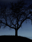 Tree QMobile XL8 Screensaver