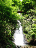 Waterfall QMobile E900 Selfie Screensaver