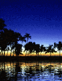 Lake Micromax X271 Screensaver
