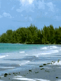 Beach Samsung P960 Screensaver