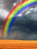 Rainbow Plum Ram 8 Screensaver