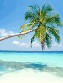 Beach Micromax X360 Screensaver