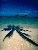 Beach BlackBerry Pearl Flip 8220 Screensaver