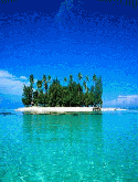 Island BlackBerry Pearl Flip 8220 Screensaver