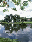 Lake Micromax X288 Screensaver