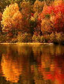 Colorful Lake Samsung W299 Duos Screensaver