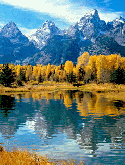 Beautiful Lake With Trees LG KE800 Screensaver