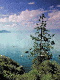 Green Island Sea Nokia X2-02 Screensaver