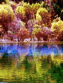 Beautiful Lake QMobile R250 Screensaver