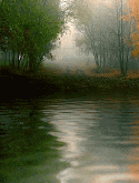 Forest Lake Motorola A810 Screensaver