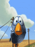 Bird Dell XCD28 Screensaver