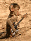Monkey Music Dell XCD28 Screensaver