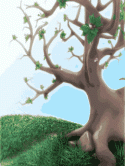 Tree QMobile E800 ICON Screensaver