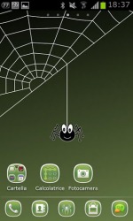 Crazy Spider GO Launcher EX