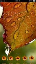 Dew Drops on Leaves CLauncher