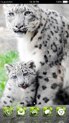 Snow Leopard CLauncher