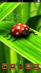 Ladybug CLauncher