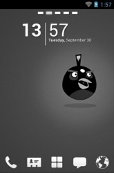 Angry Birds Black Go Launcher