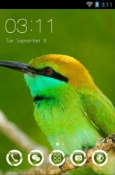 Green Bee Eater CLauncher