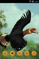 Hornbill CLauncher