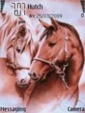 Horses Nokia N95 8GB Theme
