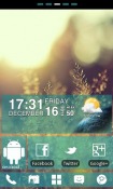 WP7blue GO Launcher EX Android Mobile Phone Theme