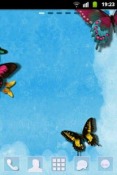 Butterfly GO Launcher EX Celkon A83 Theme