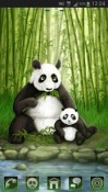 Panda GO Launcher EX Motorola DROID BIONIC XT875 Theme