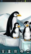 Penguins GO Launcher EX Samsung R910 Galaxy Indulge Theme