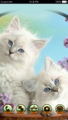 Cat CLauncher Xiaomi Mi Pad 2 Theme