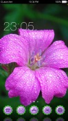 Dew Drops on Flower CLauncher HTC One X10 Theme